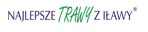 Najlepsze trawy z Iławy